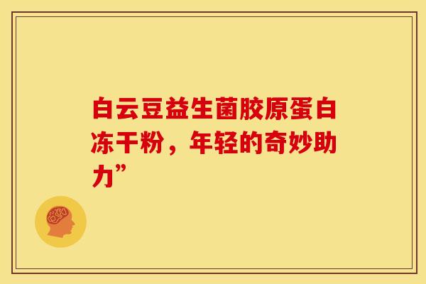 白云豆益生菌胶原蛋白冻干粉，年轻的奇妙助力”