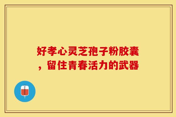 好孝心灵芝孢子粉胶囊，留住青春活力的武器