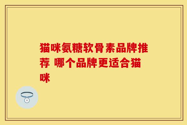 猫咪氨糖软骨素品牌推荐 哪个品牌更适合猫咪