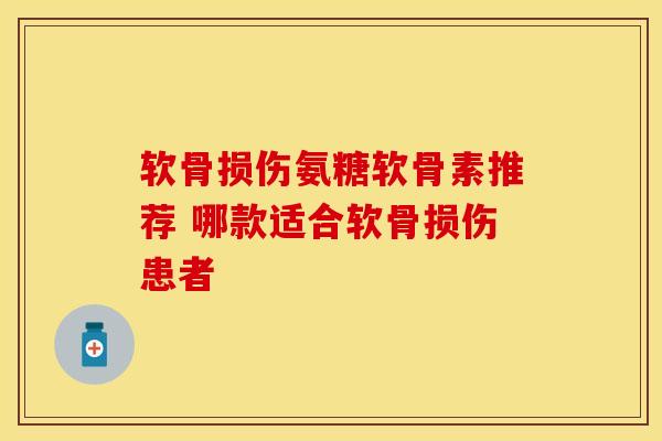 软骨损伤氨糖软骨素推荐 哪款适合软骨损伤患者