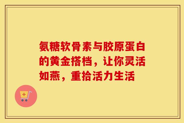 氨糖软骨素与胶原蛋白的黄金搭档，让你灵活如燕，重拾活力生活