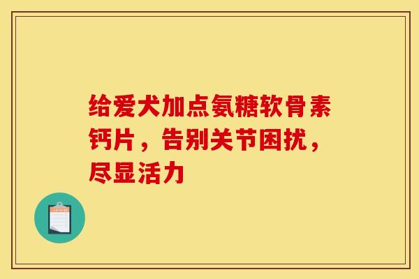 给爱犬加点氨糖软骨素钙片，告别关节困扰，尽显活力