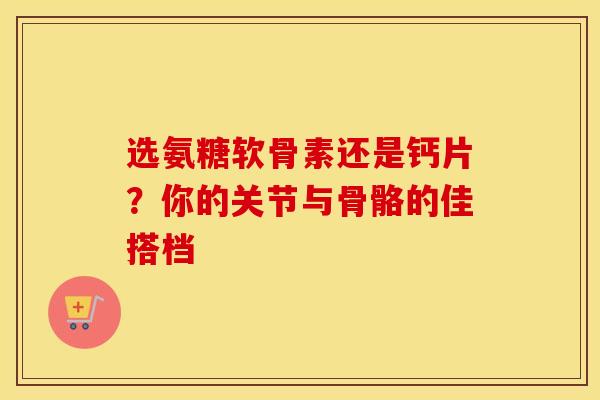 选氨糖软骨素还是钙片？你的关节与骨骼的佳搭档