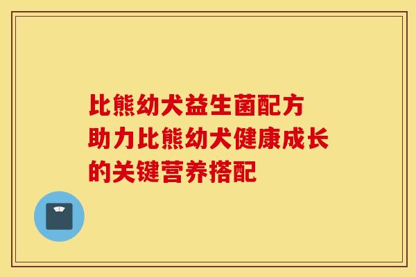 比熊幼犬益生菌配方 助力比熊幼犬健康成长的关键营养搭配