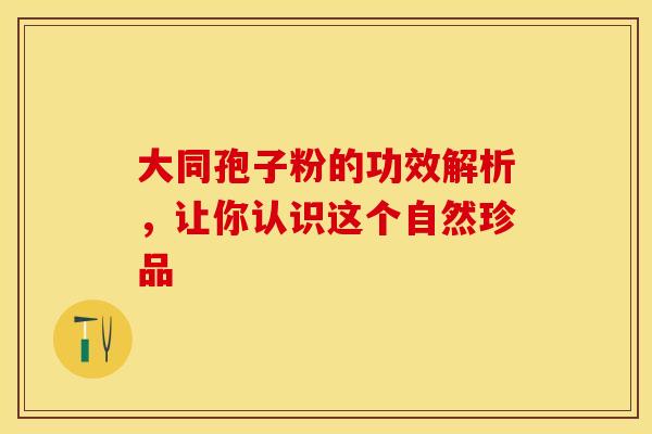 大同孢子粉的功效解析，让你认识这个自然珍品