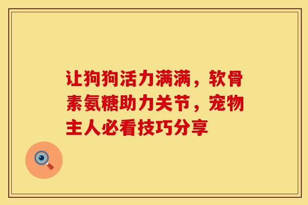 让狗狗活力满满，软骨素氨糖助力关节，宠物主人必看技巧分享
