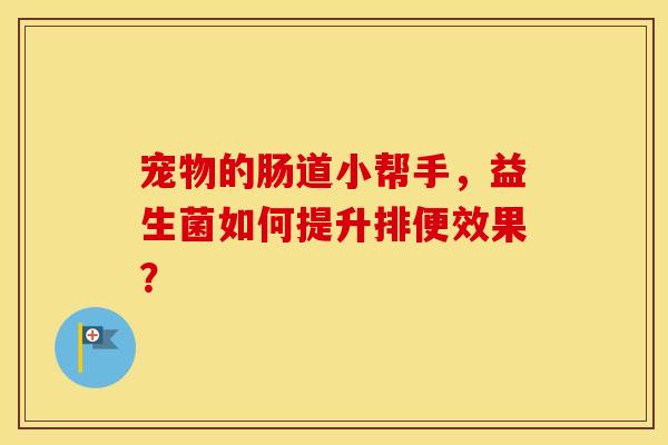 宠物的肠道小帮手,益生菌如何提升排便效果? 宠物的肠道小帮手,益生菌如何提升排便效果?