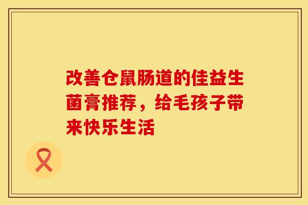 改善仓鼠肠道的佳益生菌膏推荐，给毛孩子带来快乐生活
