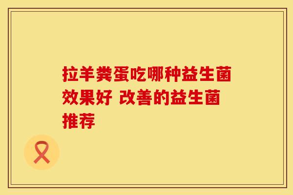 拉羊粪蛋吃哪种益生菌效果好 改善的益生菌推荐
