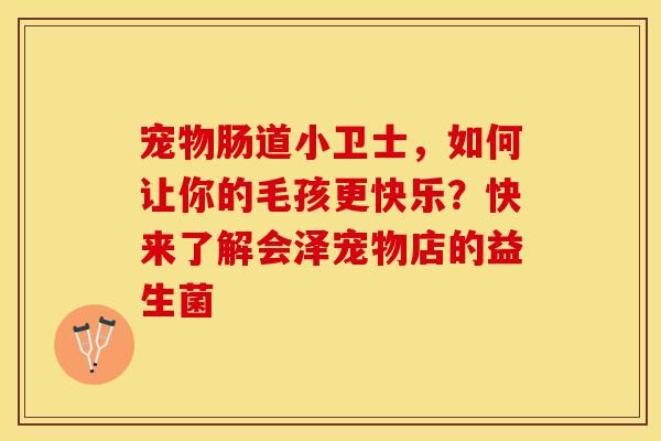 宠物肠道小卫士，如何让你的毛孩更快乐？快来了解会泽宠物店的益生菌