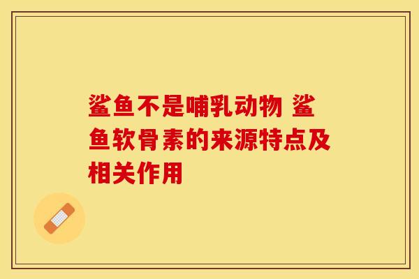 鲨鱼不是哺乳动物 鲨鱼软骨素的来源特点及相关作用