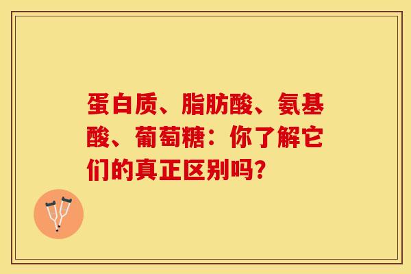 蛋白质、脂肪酸、氨基酸、葡萄糖：你了解它们的真正区别吗？