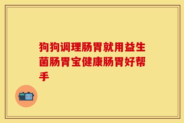 狗狗调理肠胃就用益生菌肠胃宝健康肠胃好帮手