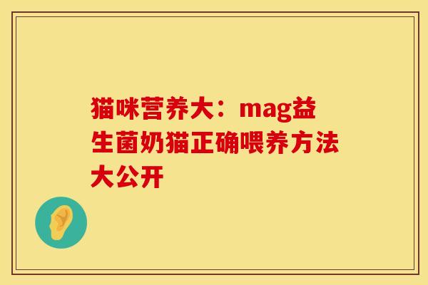 猫咪营养大：mag益生菌奶猫正确喂养方法大公开