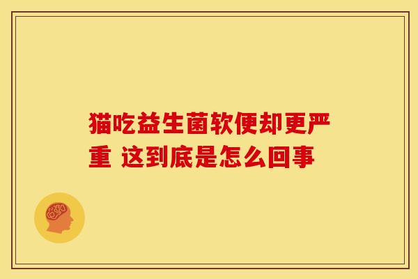 猫吃益生菌软便却更严重 这到底是怎么回事