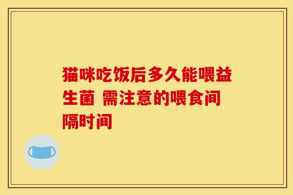 猫咪吃饭后多久能喂益生菌 需注意的喂食间隔时间