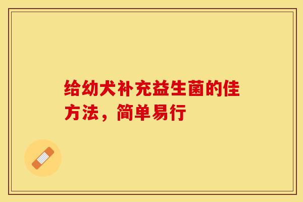给幼犬补充益生菌的佳方法，简单易行