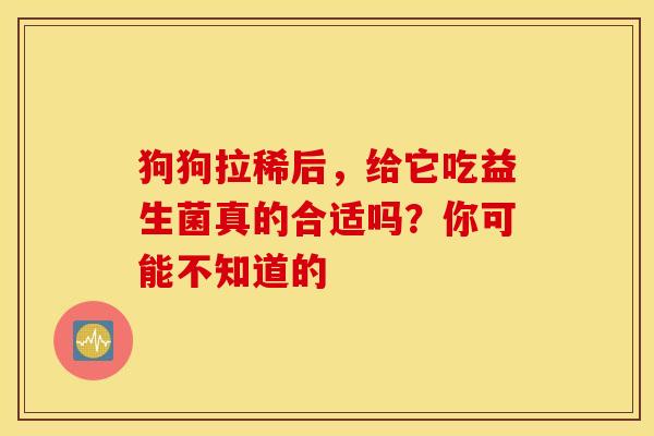 狗狗拉稀后，给它吃益生菌真的合适吗？你可能不知道的