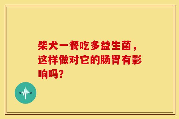 柴犬一餐吃多益生菌，这样做对它的肠胃有影响吗？