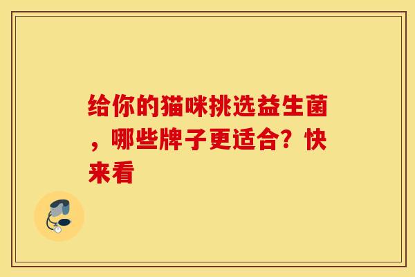 给你的猫咪挑选益生菌,哪些牌子更适合?快来看 给你的猫咪挑选益生菌,哪些牌子更适合?快来看
