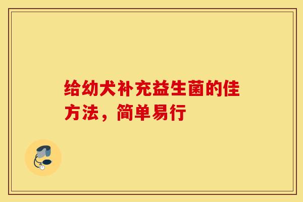 给幼犬补充益生菌的佳方法，简单易行