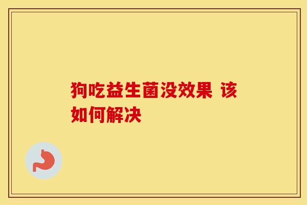 狗吃益生菌没效果 该如何解决