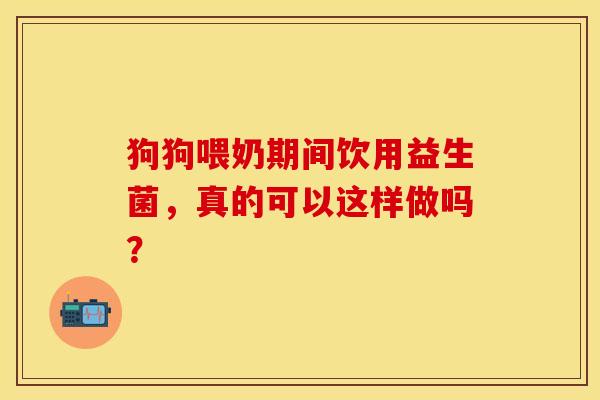 狗狗喂奶期间饮用益生菌，真的可以这样做吗？