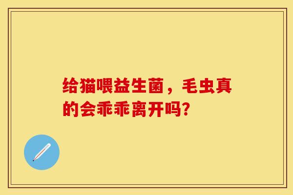 给猫喂益生菌，毛虫真的会乖乖离开吗？