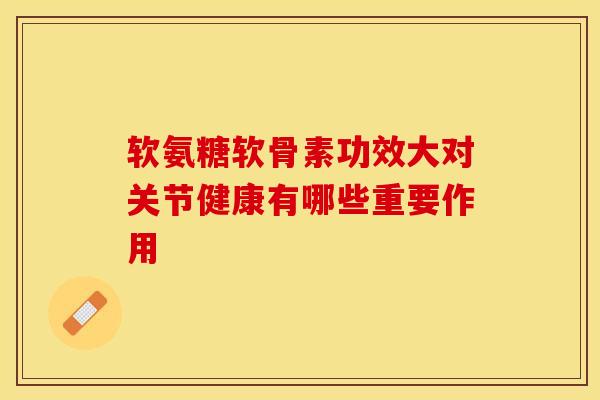 软氨糖软骨素功效大对关节健康有哪些重要作用