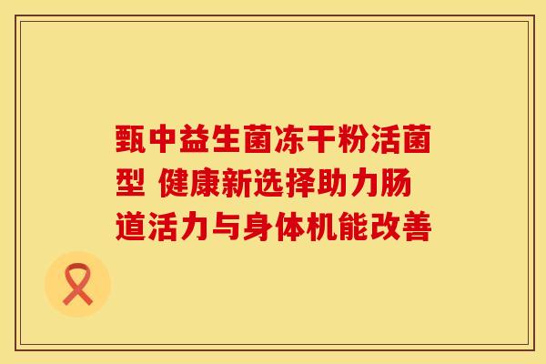 甄中益生菌冻干粉活菌型 健康新选择助力肠道活力与身体机能改善