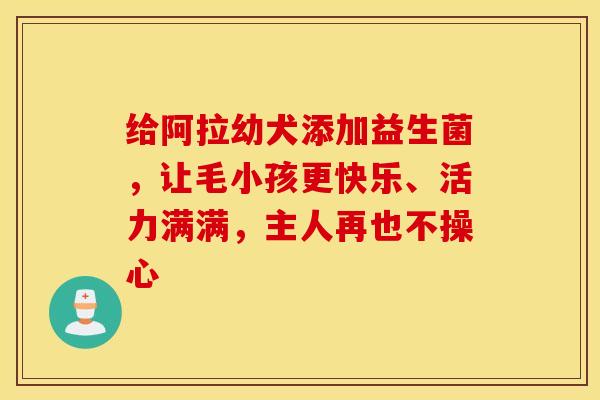 给阿拉幼犬添加益生菌，让毛小孩更快乐、活力满满，主人再也不操心