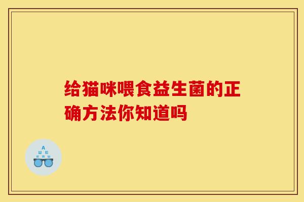 给猫咪喂食益生菌的正确方法你知道吗