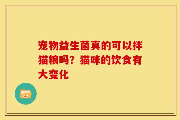 宠物益生菌真的可以拌猫粮吗？猫咪的饮食有大变化