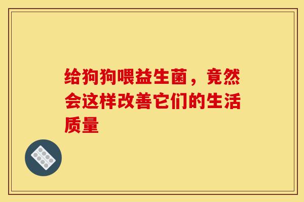 给狗狗喂益生菌，竟然会这样改善它们的生活质量