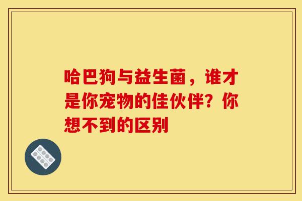 哈巴狗与益生菌,谁才是你宠物的佳伙伴?你想不到的区别 哈巴狗与益生菌,谁才是你宠物的佳伙伴?你想不到的区别