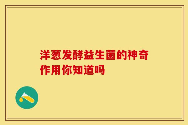 洋葱发酵益生菌的神奇作用你知道吗