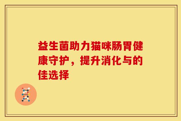 益生菌助力猫咪肠胃健康守护，提升消化与的佳选择