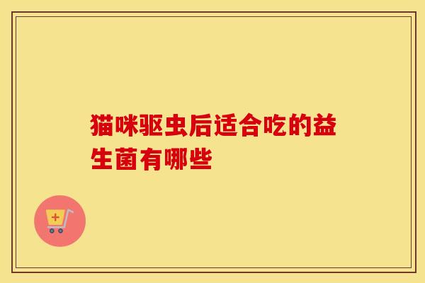 猫咪驱虫后适合吃的益生菌有哪些