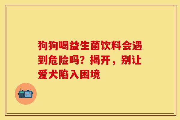 狗狗喝益生菌饮料会遇到危险吗？揭开，别让爱犬陷入困境