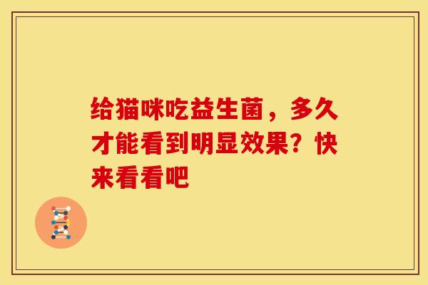 给猫咪吃益生菌，多久才能看到明显效果？快来看看吧