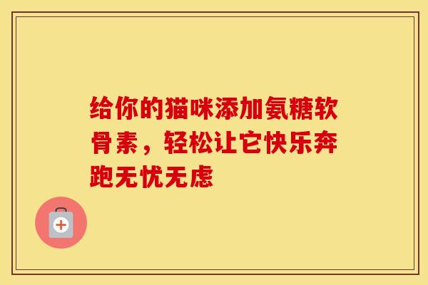 给你的猫咪添加氨糖软骨素，轻松让它快乐奔跑无忧无虑