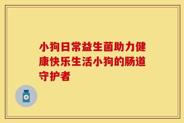 小狗日常益生菌助力健康快乐生活小狗的肠道守护者