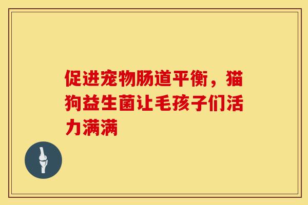 促进宠物肠道平衡，猫狗益生菌让毛孩子们活力满满