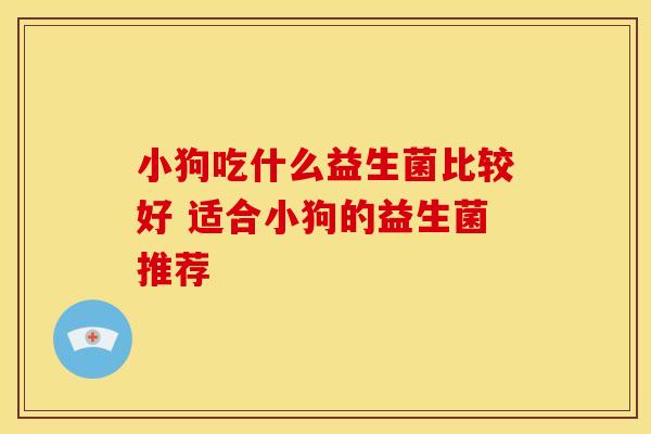 小狗吃什么益生菌比较好 适合小狗的益生菌推荐