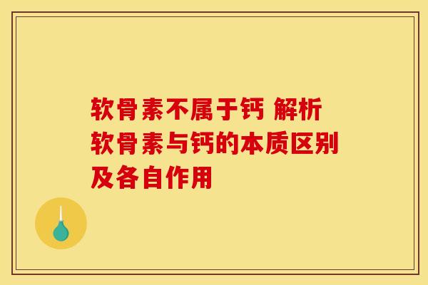 软骨素不属于钙 解析软骨素与钙的本质区别及各自作用 软骨素不属于钙 解析软骨素与钙的本质区别及各自作用