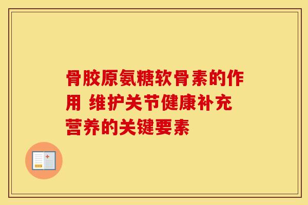 骨胶原氨糖软骨素的作用 维护关节健康补充营养的关键要素
