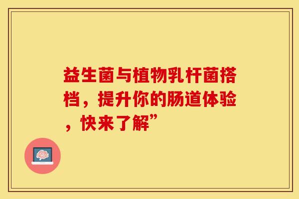 益生菌与植物乳杆菌搭档，提升你的肠道体验，快来了解”