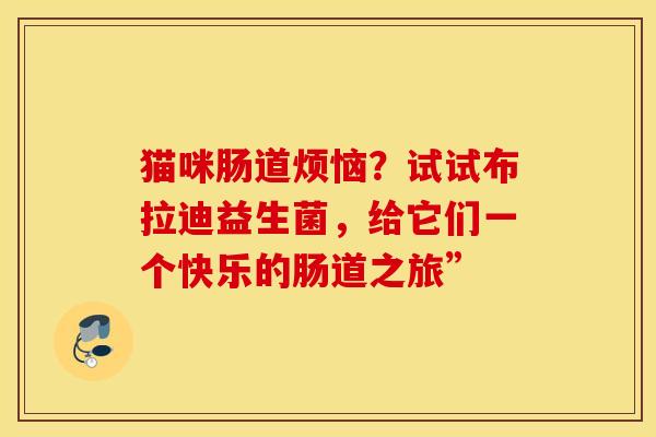 猫咪肠道烦恼？试试布拉迪益生菌，给它们一个快乐的肠道之旅”