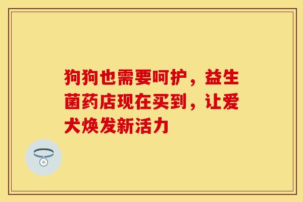 狗狗也需要呵护，益生菌药店现在买到，让爱犬焕发新活力