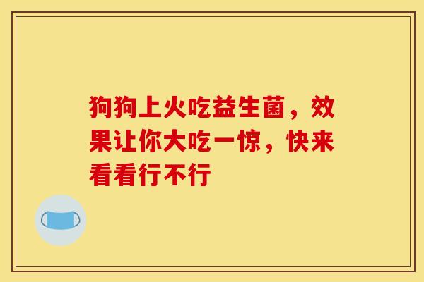 狗狗上火吃益生菌，效果让你大吃一惊，快来看看行不行